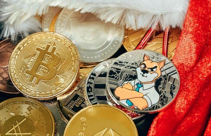 Quel avenir pour les memecoins avec le bitcoin au prix le plus élevé ?