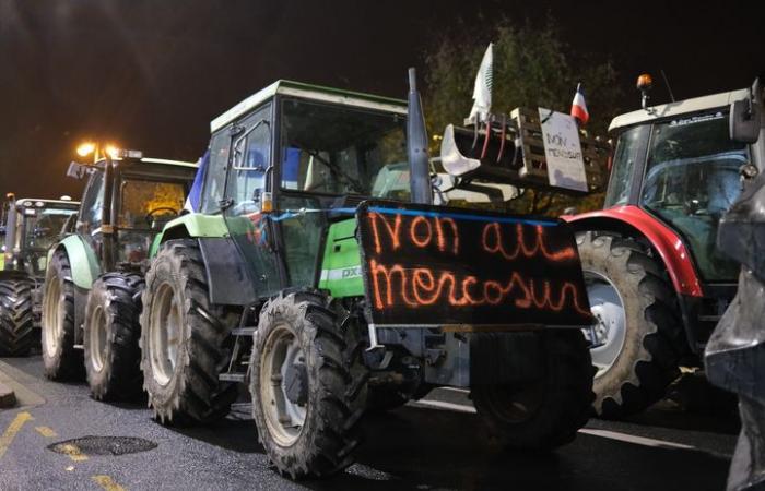 en Dordogne, des agriculteurs organisent un barbecue pour sensibiliser à l’accord avec le Mercosur