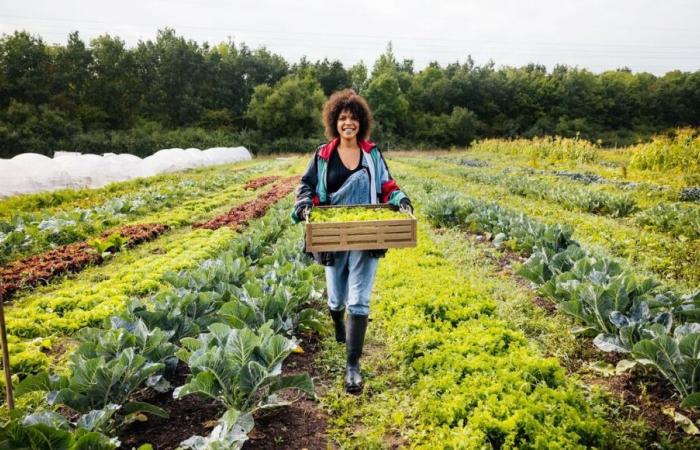 La Chambre d’Agriculture de Dordogne propose des offres de reprise d’exploitation agricole