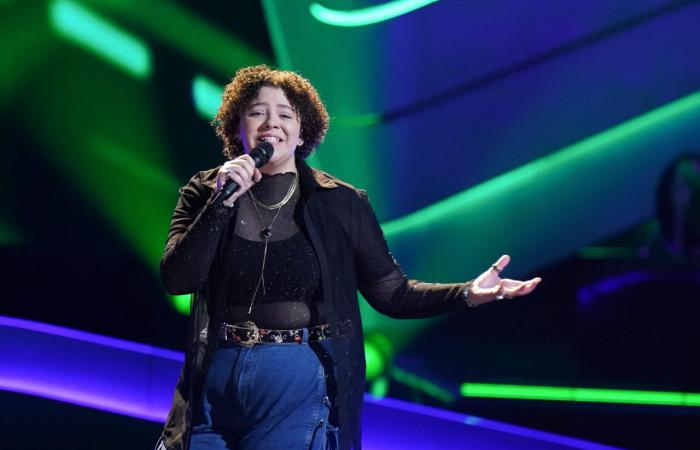 Aperçu du Top 20 des Playoffs de The Voice 26 (Photos, Vidéo)