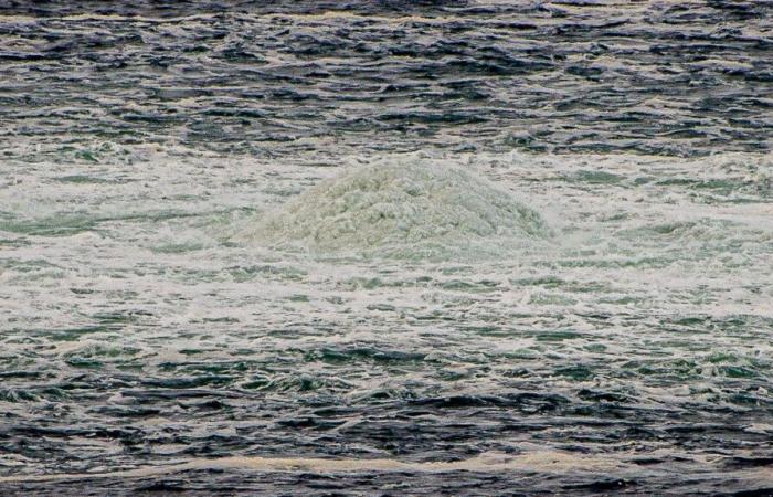 Un deuxième câble sous-marin de télécommunications a été endommagé dans la mer Baltique, reliant la Suède et la Lituanie