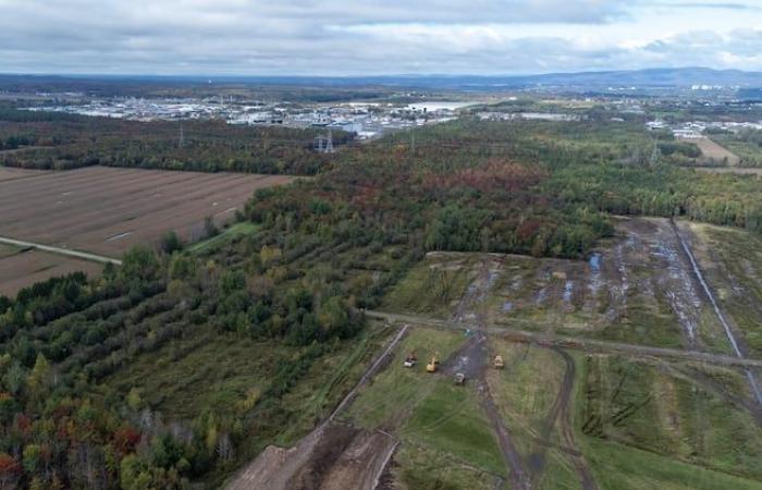 QScale a trouvé son exploitant agricole pour les futures serres