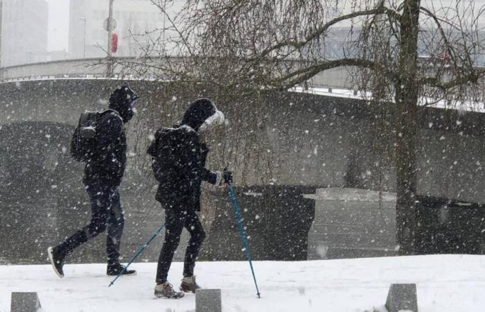 Est-ce qu’il neigera ? Ne va-t-il pas neiger en Loire-Atlantique ? Il est encore trop tôt pour le dire