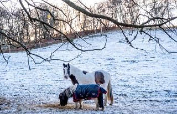 Le chaos des déplacements et les fermetures d’écoles s’accentuent alors que jusqu’à 15 cm de neige supplémentaires devraient tomber