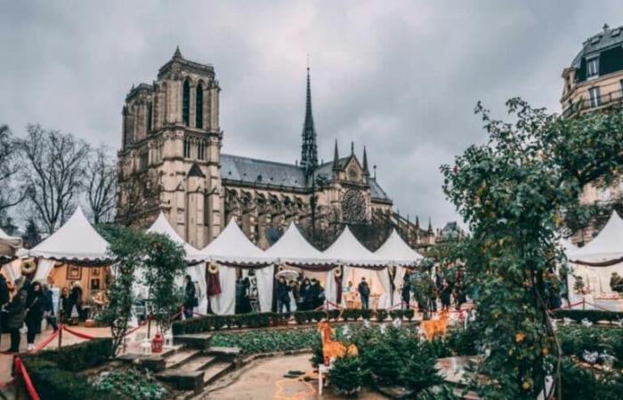 Que faire à Paris ce week-end ? (22-24 novembre) – Paris Select