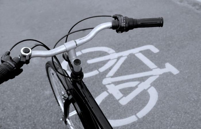 a new 4 km cycle path to connect Essonne to Carré Sénart