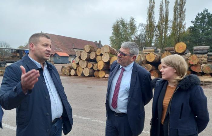 J’ai juré. Filière bois dans le Jura : comment préparer l’avenir face au changement climatique ?