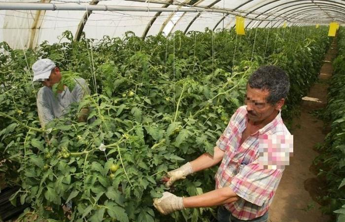 les ventes chutent, les agriculteurs au bout du tunnel