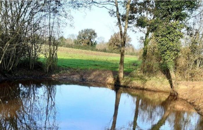 Chemillé-en-Anjou. L’étang restauré de la ferme du Pontreau