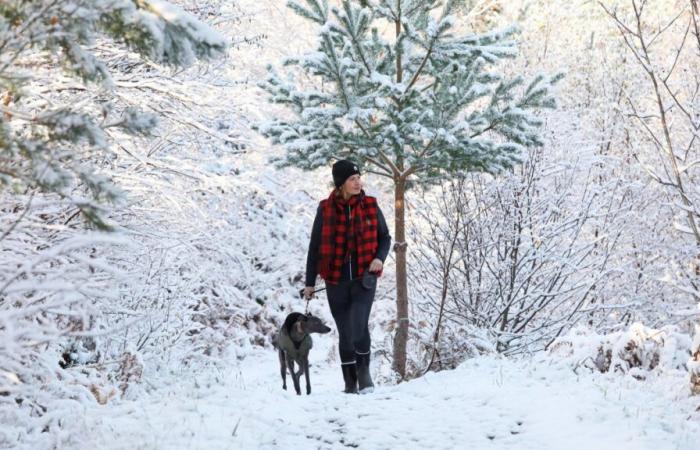 avertissement de neige pour un « premier avant-goût de l’hiver »