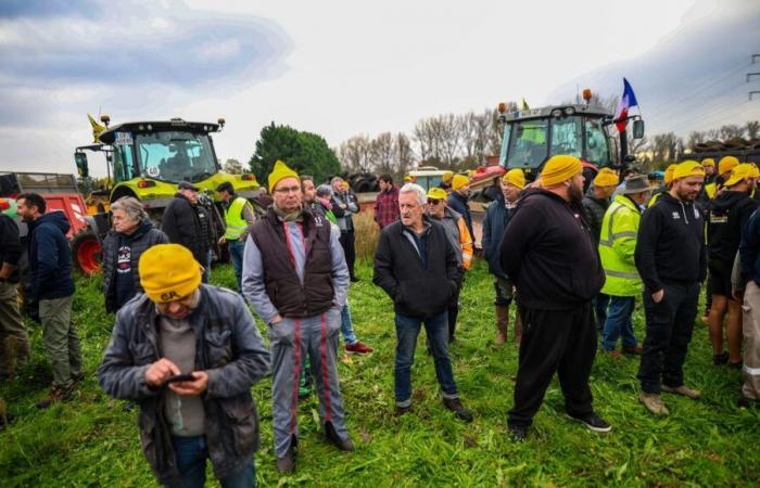 La Coordination rurale se joint au mouvement prévu ce mercredi dans le sud-ouest