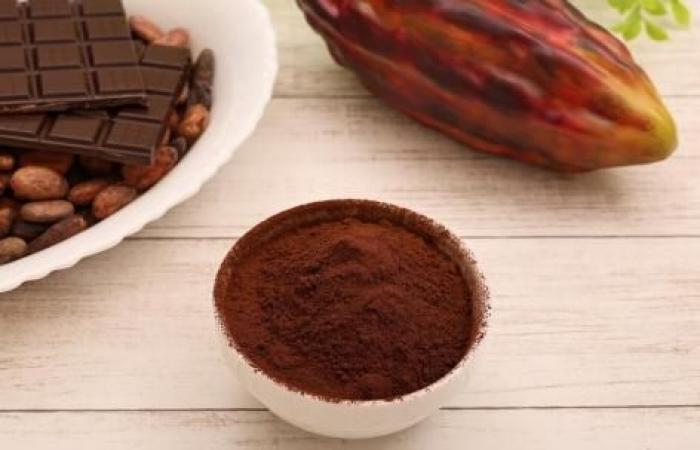 Le cacao pourrait vous protéger des effets négatifs des aliments gras en cas de stress