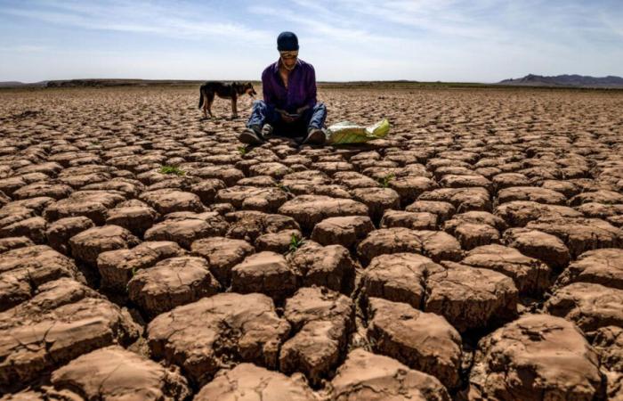 Quelles sont les conséquences du réchauffement climatique sur le travail ?