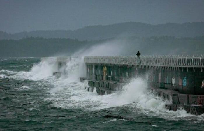 Des pannes de courant sont probables alors qu’un « cyclone à la bombe » se forme au large des côtes de la Colombie-Britannique, selon un météorologue