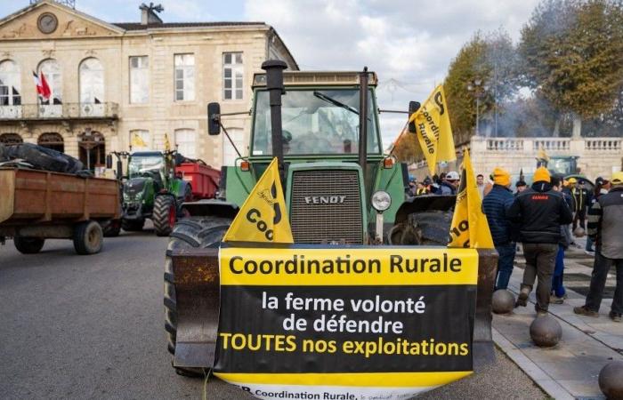 Troisième jour de manifestation agricole, avec en toile de fond les élections aux chambres d’agriculture