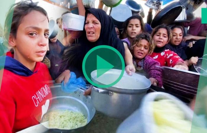 A Gaza, ces scènes chaotiques de distribution alimentaire révèlent la famine qui les attend