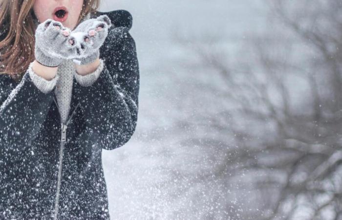 Bulletin météo. Où va-t-il neiger ce jeudi 21 novembre 2024, dans la Manche ?