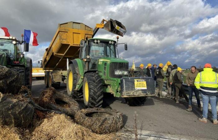 la Coordination rurale de la Gold Coast envisage de « bloquer le Parlement européen » lundi