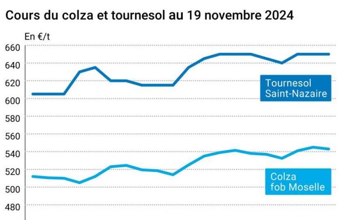 Oléagineux – Baisse des prix du colza et du soja sur fond de ventes techniques après des hausses les jours précédents