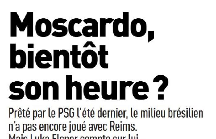 Le point sur l’infirmerie et Moscardo devrait jouer avec Reims