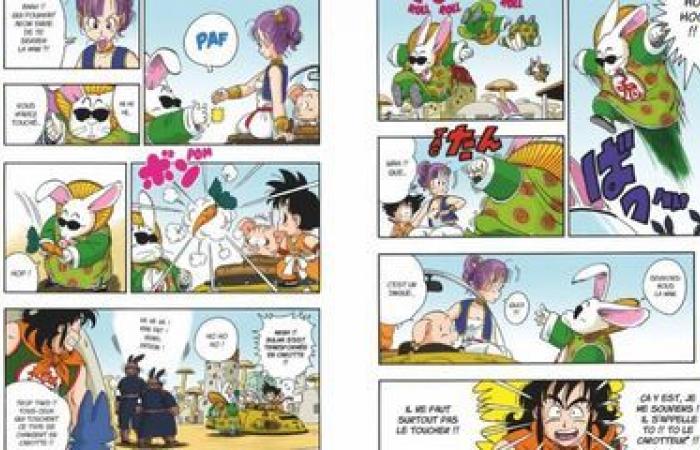 Toujours sur son « nuage magique », « Dragon Ball » fête ses 40 ans et toujours aussi attractif