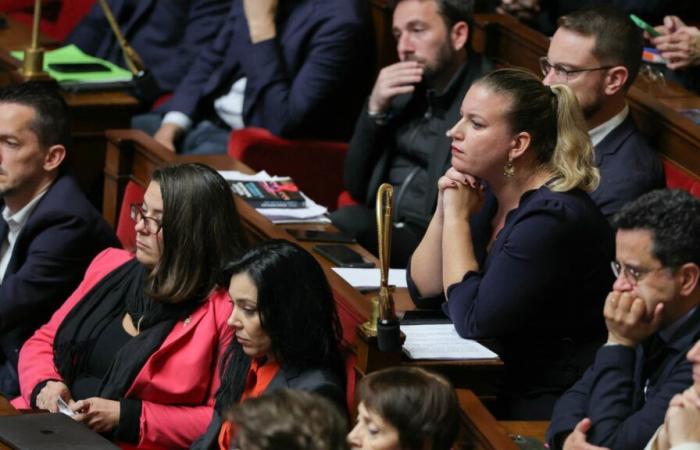 La France insoumise obtient la création d’un groupe d’amitié France-Palestine à l’Assemblée