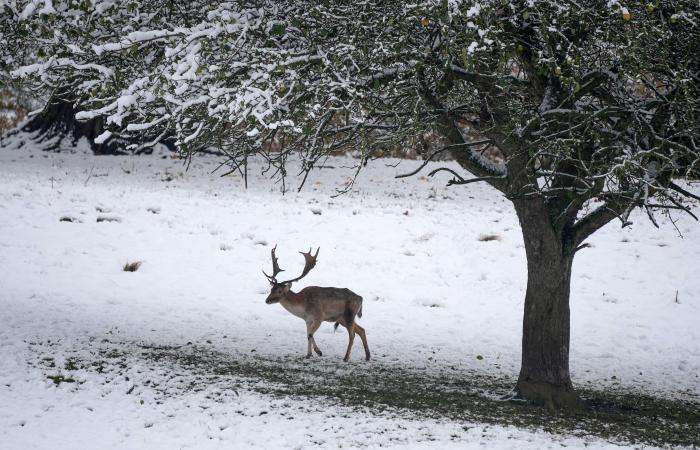 Nouvel avertissement de neige et de glace émis par le Met Office alors que des perturbations de voyage sont attendues