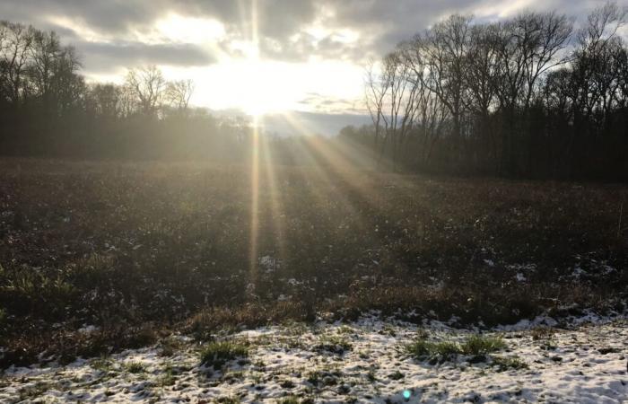 Vigilance jaune à « Neige-Glace » et « Vent fort » dans le Jura, ce jeudi 21 novembre