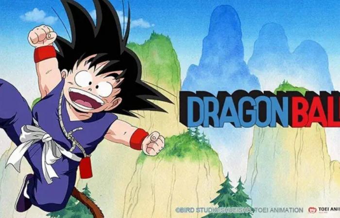 Toujours sur son « nuage magique », « Dragon Ball » fête ses 40 ans et toujours aussi attractif