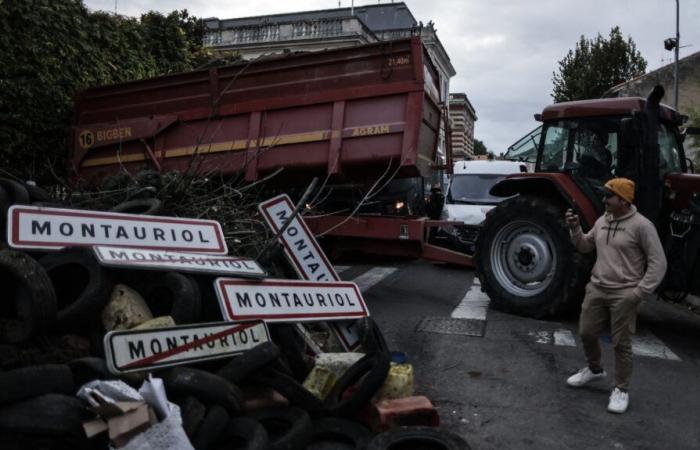 bloquer le fret alimentaire, « assécher » de vastes zones… La Coordination rurale veut durcir le mouvement