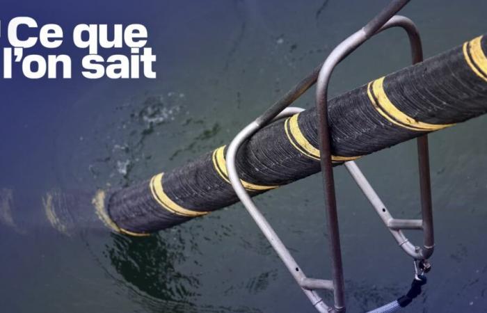 Accident, piste russe… Ce que l’on sait des câbles de communication endommagés en mer Baltique