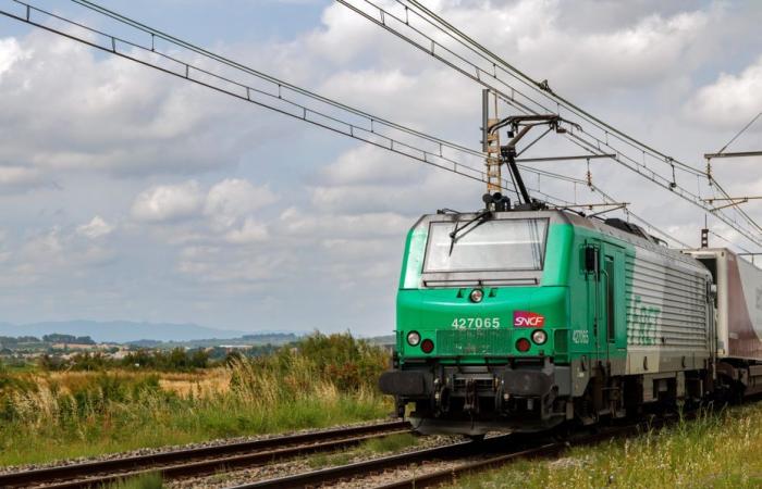 Un jeune homme de 21 ans est décédé après avoir été heurté par un train au passage à niveau.