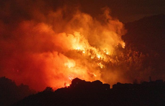 Une vingtaine d’hectares brûlés dans un incendie provoqué par des vents violents à Pietra di Verde