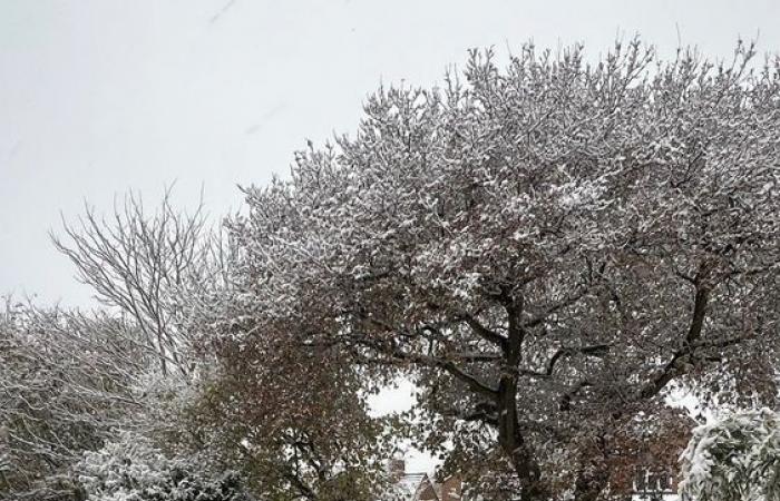 Météo au Royaume-Uni : de nouvelles alertes de neige et de verglas émises alors que les prévisionnistes mettent en garde contre de nouvelles perturbations dans les voyages