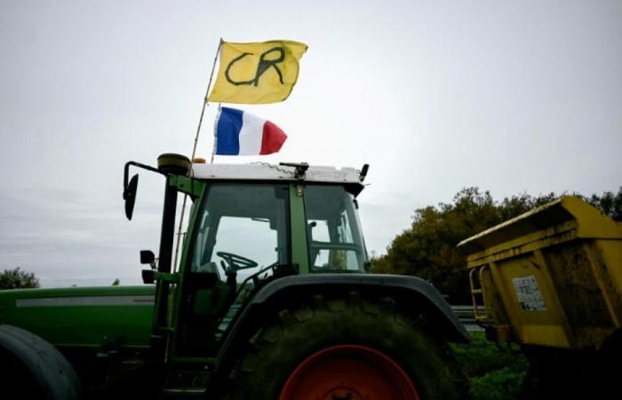 Au 3ème jour de mobilisation des agriculteurs, divers blocages et un appel à continuer la semaine prochaine