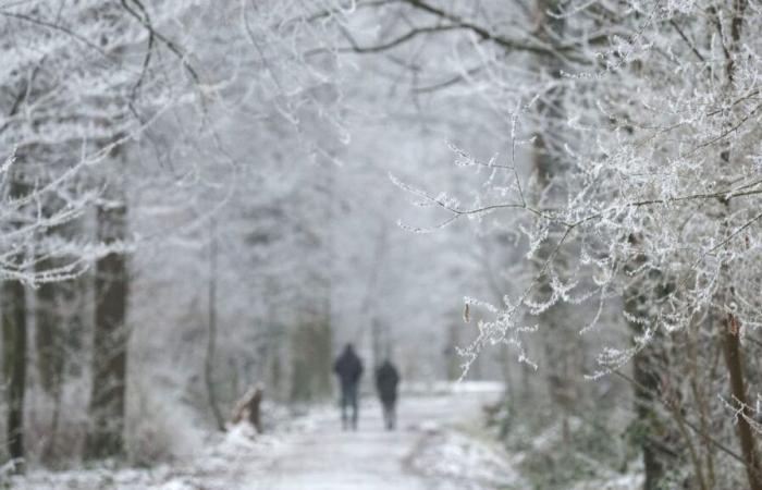 Le nouveau début de l’hiver provoque de la neige fraîche dans cette région