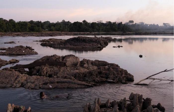 Au milieu de l’Amazonie, une ville française manque d’eau et de nourriture à cause du changement climatique