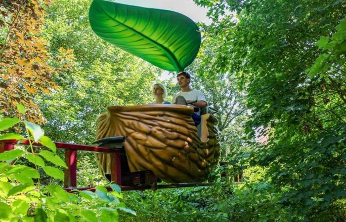 Maine-et-Loire. L’opérateur privé Lopping prend les rênes de Terra Botanica