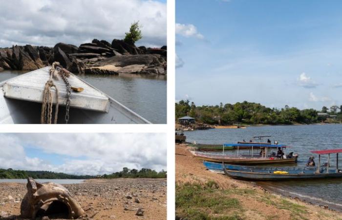 Au milieu de l’Amazonie, une ville française manque d’eau et de nourriture à cause du changement climatique