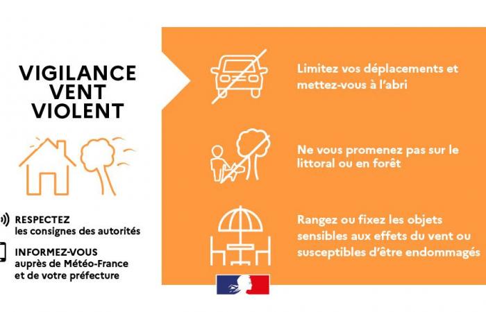 Vigilance Orange « Vent » le 20/11/2024 de 8h à 20h – Vigilance météo – Risques naturels – Prévention des risques – Transition écologique, environnement et prévention des risques – Actions de l’État