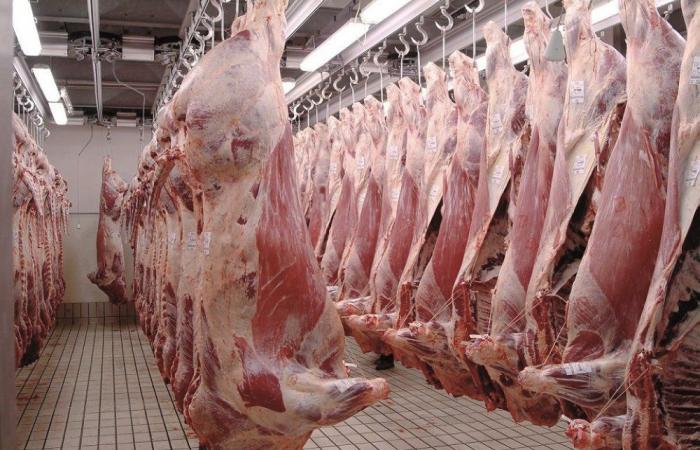 Les prix de la viande ovine repartent à la hausse dans les abattoirs de Casablanca