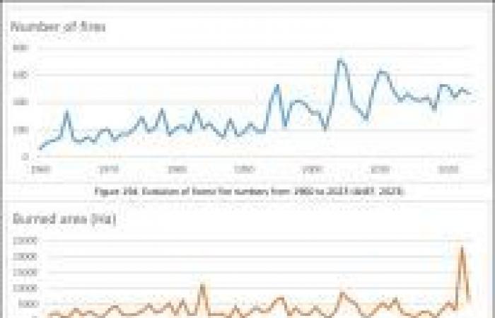 Bilan des feux de forêt en 2023 en Europe