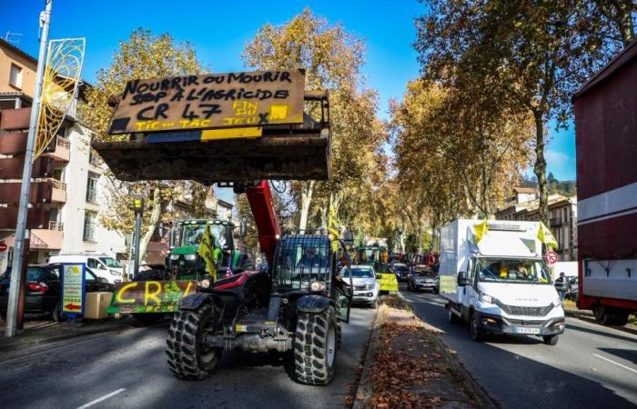 Colère des agriculteurs à Agen. Le CR veut bloquer le fret, les centrales d’achats… Et plus si affinités ?