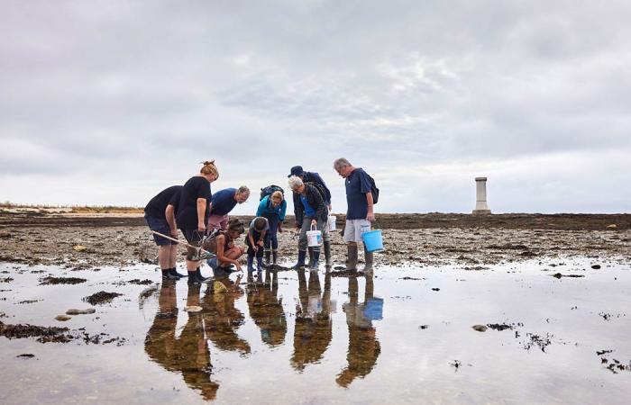 Morbihan. Des pêcheurs à pied surveillés par des drones !