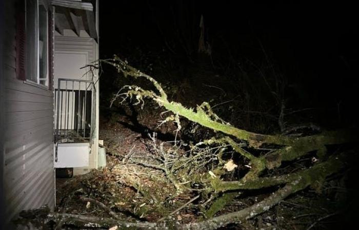 Un cyclone meurtrier frappe la région de Seattle avec des vents violents laissant plus de 600 000 personnes sans électricité