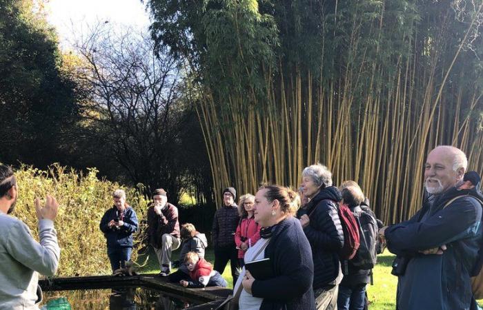 Belle journée de rencontre autour des oiseaux de l’Ariège au Parc aux Bambous