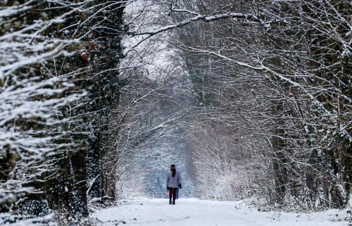 vague de froid et premières neiges en plaine