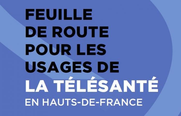 L’ARS Hauts-de-France publie une Feuille de route pour les usages de la télésanté en Hauts-de-France