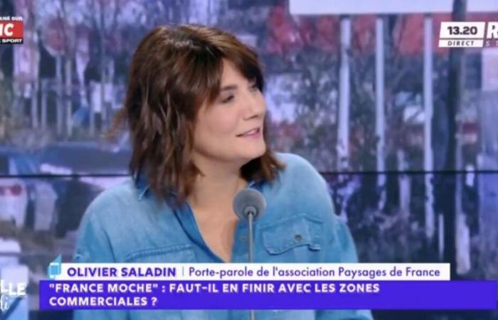 Estelle Denis très surprise en direct sur RMC par son invité, porte-parole d’une association, qui n’est autre… qu’un ancien acteur célèbre !