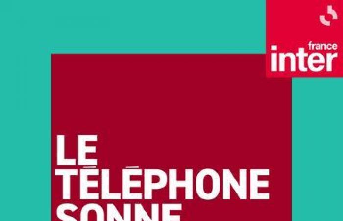 le téléphone sonne le mercredi 20 novembre 2024